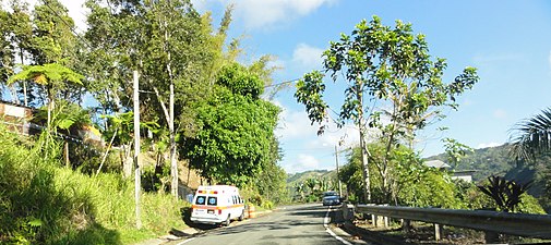 Puerto Rico Highway 515 in Guaraguao