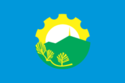 Flag of Arsenyev