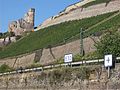 „Kurzer Kilometer“ bei Rüdesheim