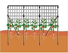 Dettaglio della installazione della rete di sostegno a spalliera con contropaletti