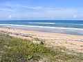 Natural beach at North Peninsula State Park