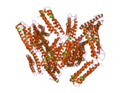 1tr2: Crystal structure of human full-length vinculin (residues 1-1066)