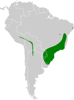 Distribución geográfica del titirijí cabecicanela.