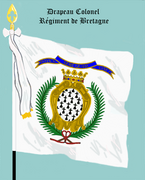 Drapeau Colonel