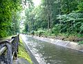 Kanalbett des Riehenteichs in den Langen Erlen