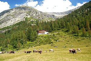 Rifugio Val di Fumo