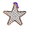 The Coaster Star