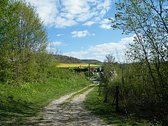 Panorama sur le larris.