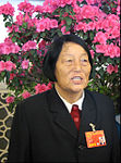 Shen Jilan in 2013