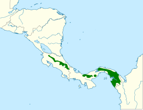 Distribución geográfica del hormiguero guardarribera.