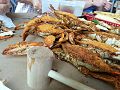 Image 14Marylanders steam blue crabs, usually in water, beer and Old Bay Seasoning. (from Culture of Baltimore)