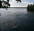 Lahnavesi laskee Tarhaveteen Miekankosken kautta. Edessä sijaitsee Raatosaari.