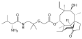 Минијатура за верзију на дан 22:37, 29. мај 2008.