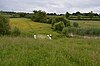 Weald Common Flood Meadows