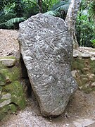 Un rocher gravé, supposé être une carte de la région autour de Ciudad Perdida.