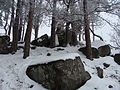 Taubenkopf - Gipfel im Winter