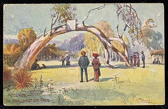 Postcard from 1903