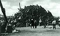 Texas A&M's Bonfire collapse