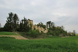 Les restes du château au début du XXIe siècle - Vue d'ensemble.