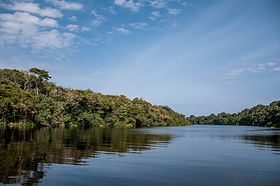 Parque Nacional de Anavilhanas, Amazonas, Brasil