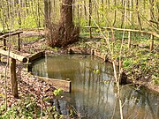 Historical bath place Teufelsbad (also called Kopperloch) near Heiliger's well