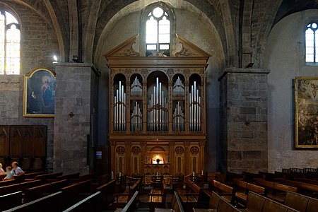 The organ