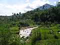 Paysage à Garat