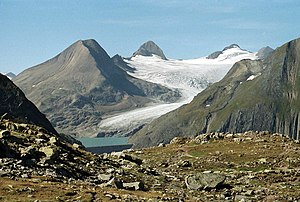 Griesgletscher von Nordosten, vom Nufenenpass (2001)