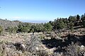 High elevation (8,100 feet (2,500 m)) campground near summit.