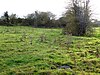 Halstead Road Centenary Pasture