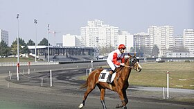 Image illustrative de l’article Hippodrome de la Champagne