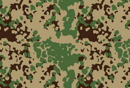 Индийский Flecktarn