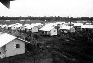 Dozens of small white buildings lined in rows at the edge of a jungle.