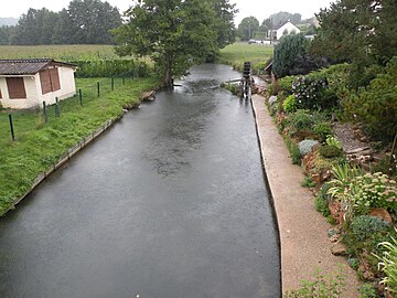 Le Thérain à Martincourt.