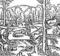 Wolf hunt with hounds, 15th-century engraving (wolf in upper right)