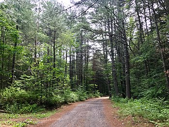 Nepaug State Forest's "Tunxis Trail" dirt road main entrance off CT-202 and parking lot.