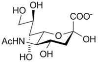 N-acetylneuraminic acid