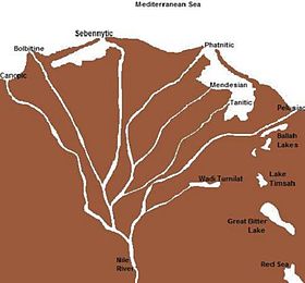 Image illustrative de l’article Lac Timsah