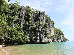 PPUR beach limestone rock formation