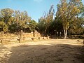 Ruines Romaines Tipaza.