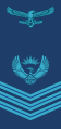 South African Air Force[17]