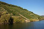 Ribeira Sacra, Lugo und Ourense