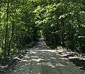 Rural dirt road near Kingsley, Michigan