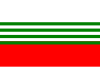 Flag of Ostrov u Macochy