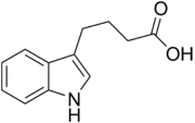 Skeletal structure diagram