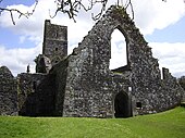 Kilcrea Friary, mid-Cork. Founded 1465[41]