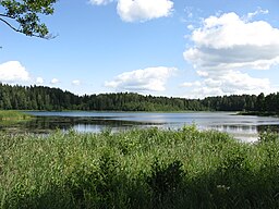 Käärikusjön i juli 2008