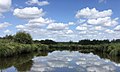 Le marais de Brière à proximité du port de Bréca.