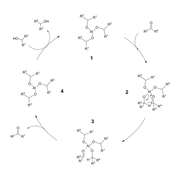 Cycle catalytique de la réduction de Meerwein-Ponndorf-Verley.