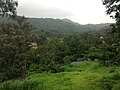 Mount Abu in Monsoon